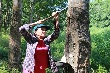Thừa Thiên-Huế: Giá mủ cao su "ấm" liên tiếp, thêm hy vọng cho người trồng 